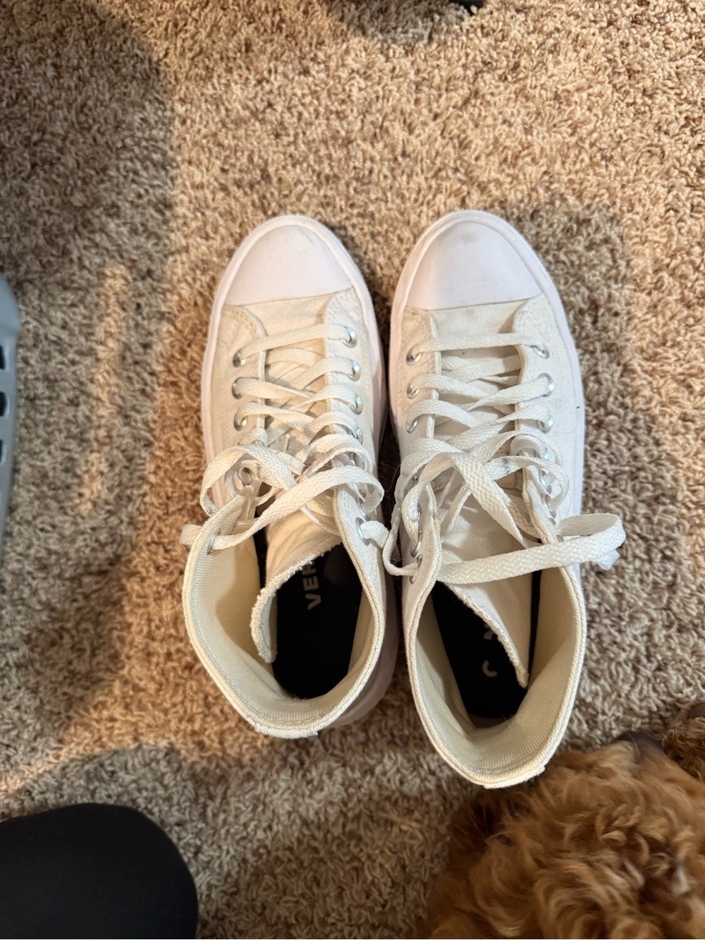 Converse White High-Top Platform Canvas Sneakers - Picture 2 of 4